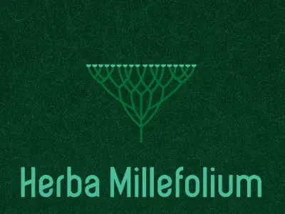 Herba Millefolium
